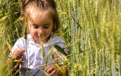 ENFANCE (6-11 ANS) : PROGRAMME DU CENTRE DE LOISIRS – VACANCES D&rsquo;ETE (DU 6 AU 31 JUILLET 2026)